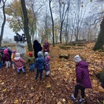 Grupa IV Wróbelki