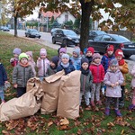 Grupa II Zajączki